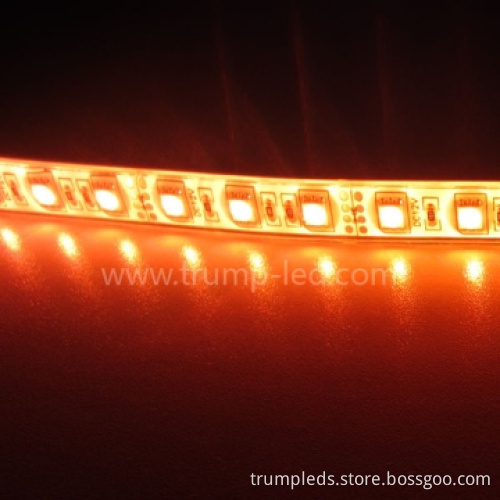 Christmas High Lumen LED Flexible Strip Light 5050
